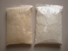 Dehydrated Garlic Granules