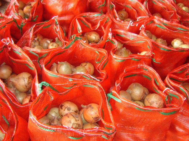 Fresh Yellow Onion
