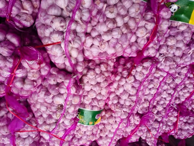 الثوم الأبيض العادي