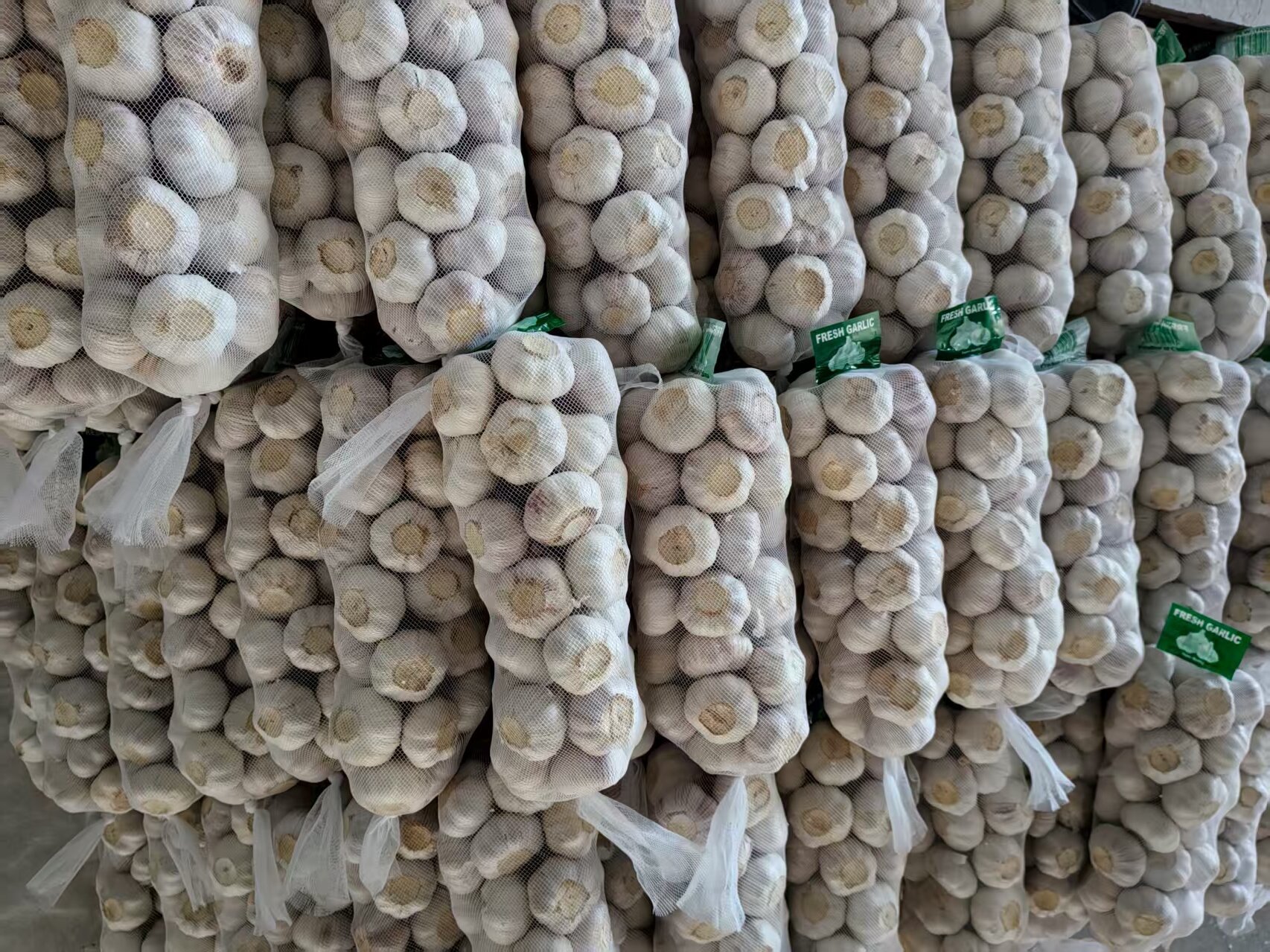 الثوم الأبيض العادي