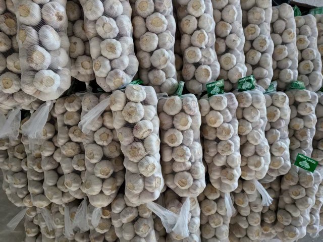 Ajo blanco normal