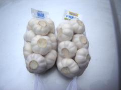 ثوم أبيض نقي طازج