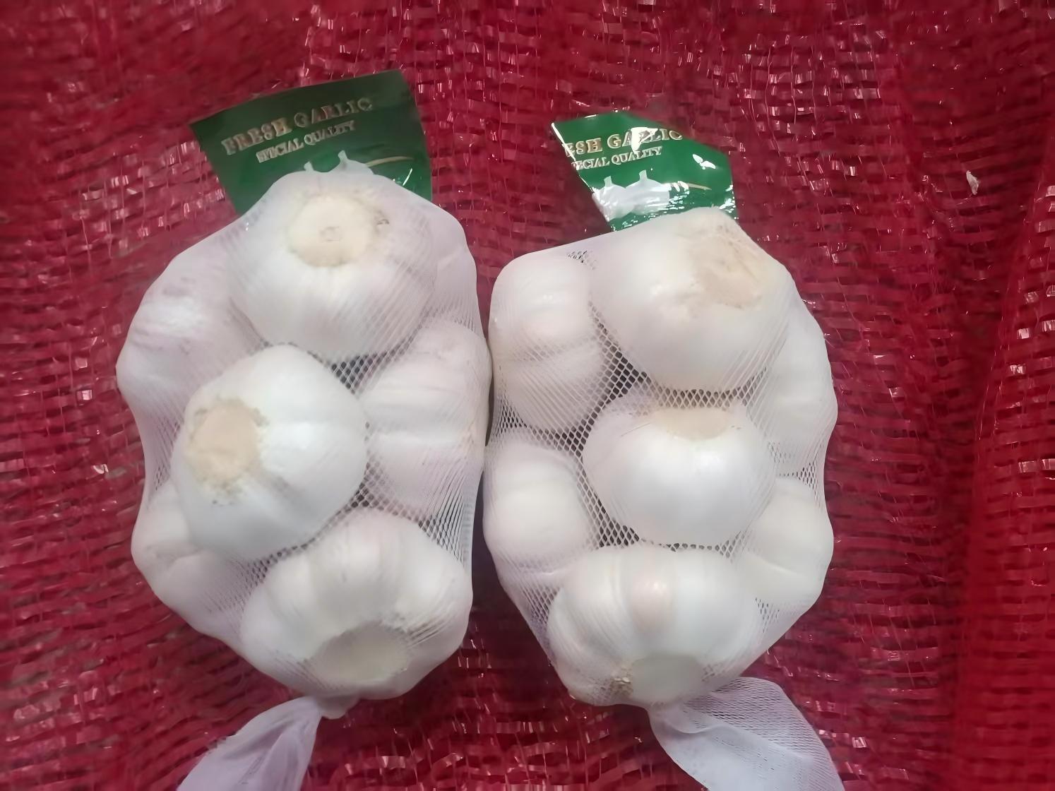 ثوم أبيض عادي طازج