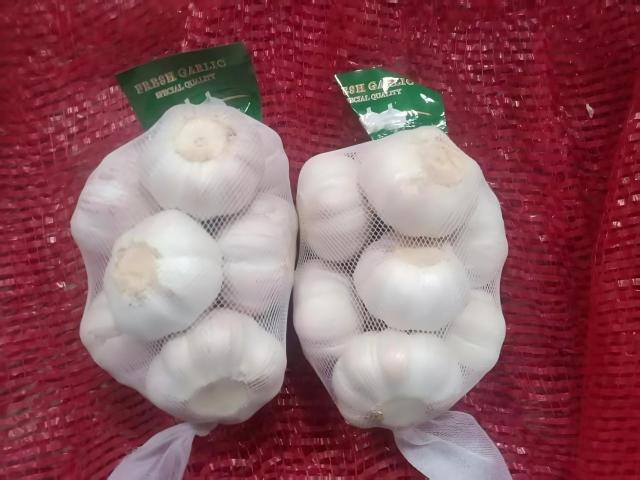 Ail blanc frais normal