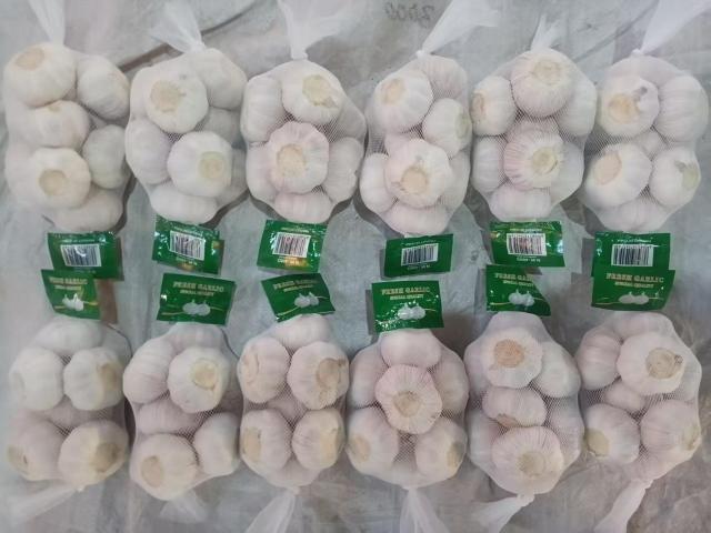 Ail blanc frais normal