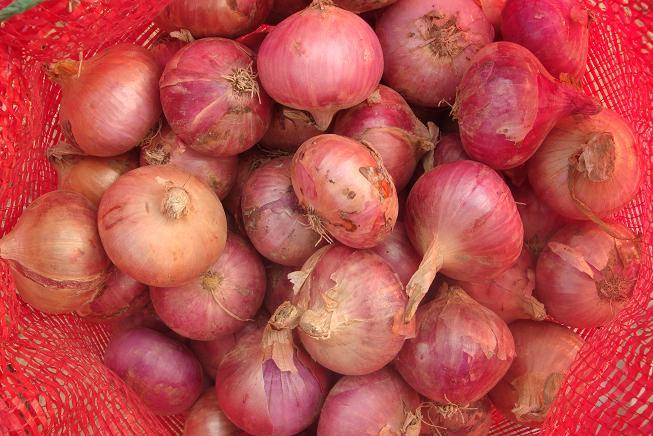 Oignon rouge frais