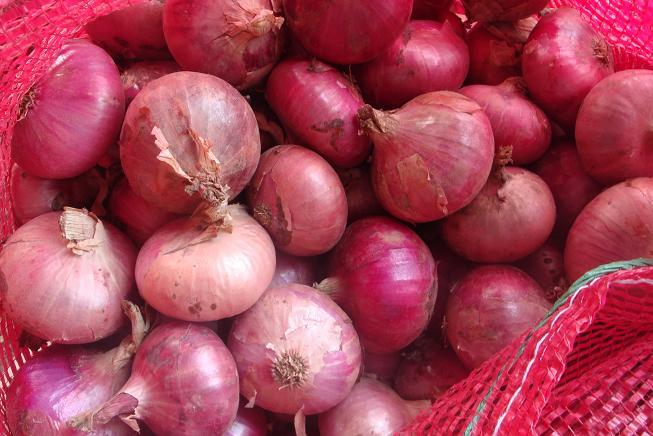 Oignon rouge frais
