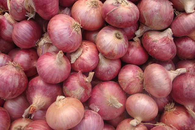 Fresh Red Onion