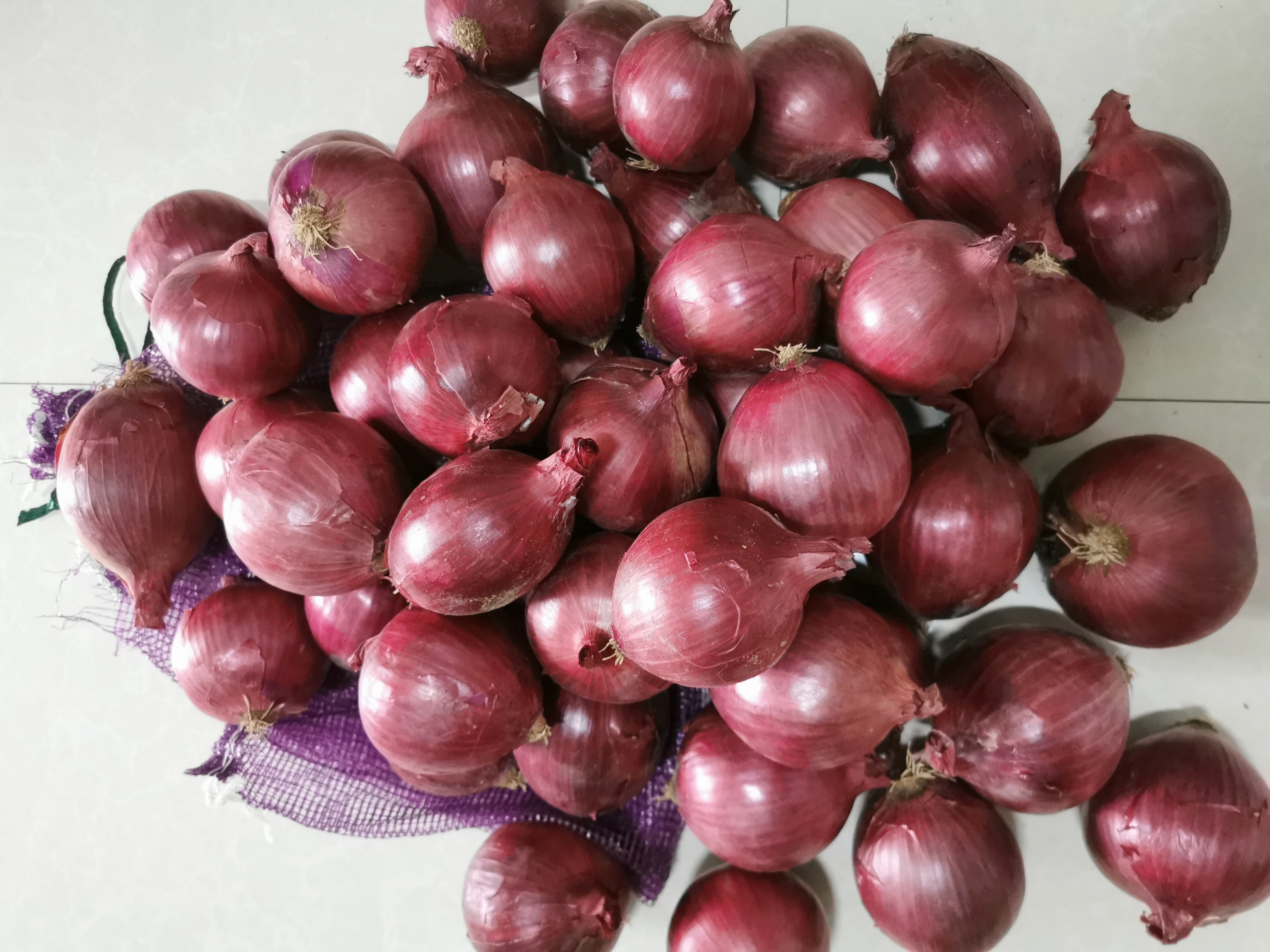 Fresh Red Onion