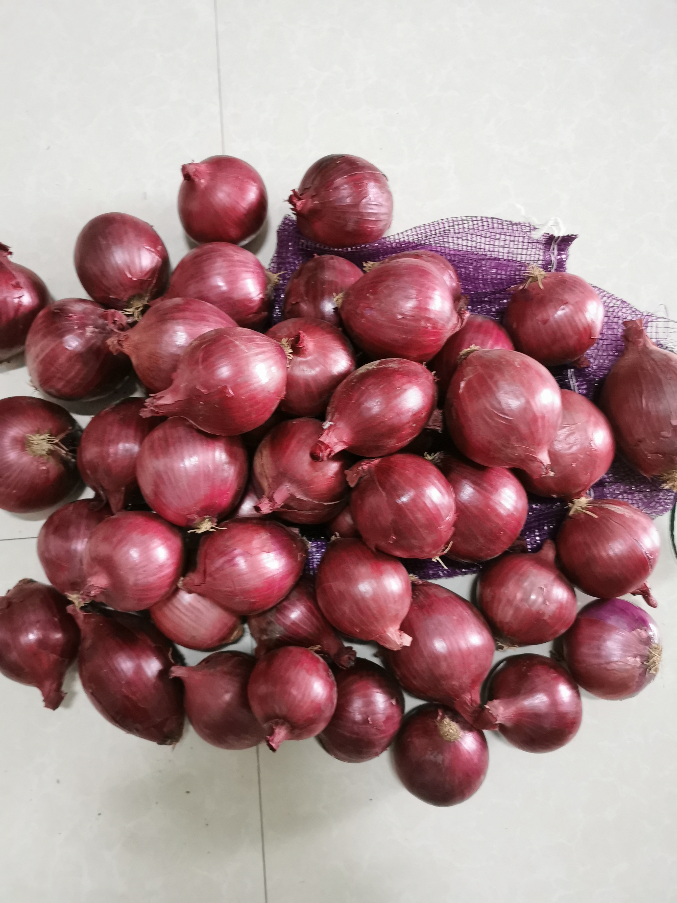 Fresh Red Onion