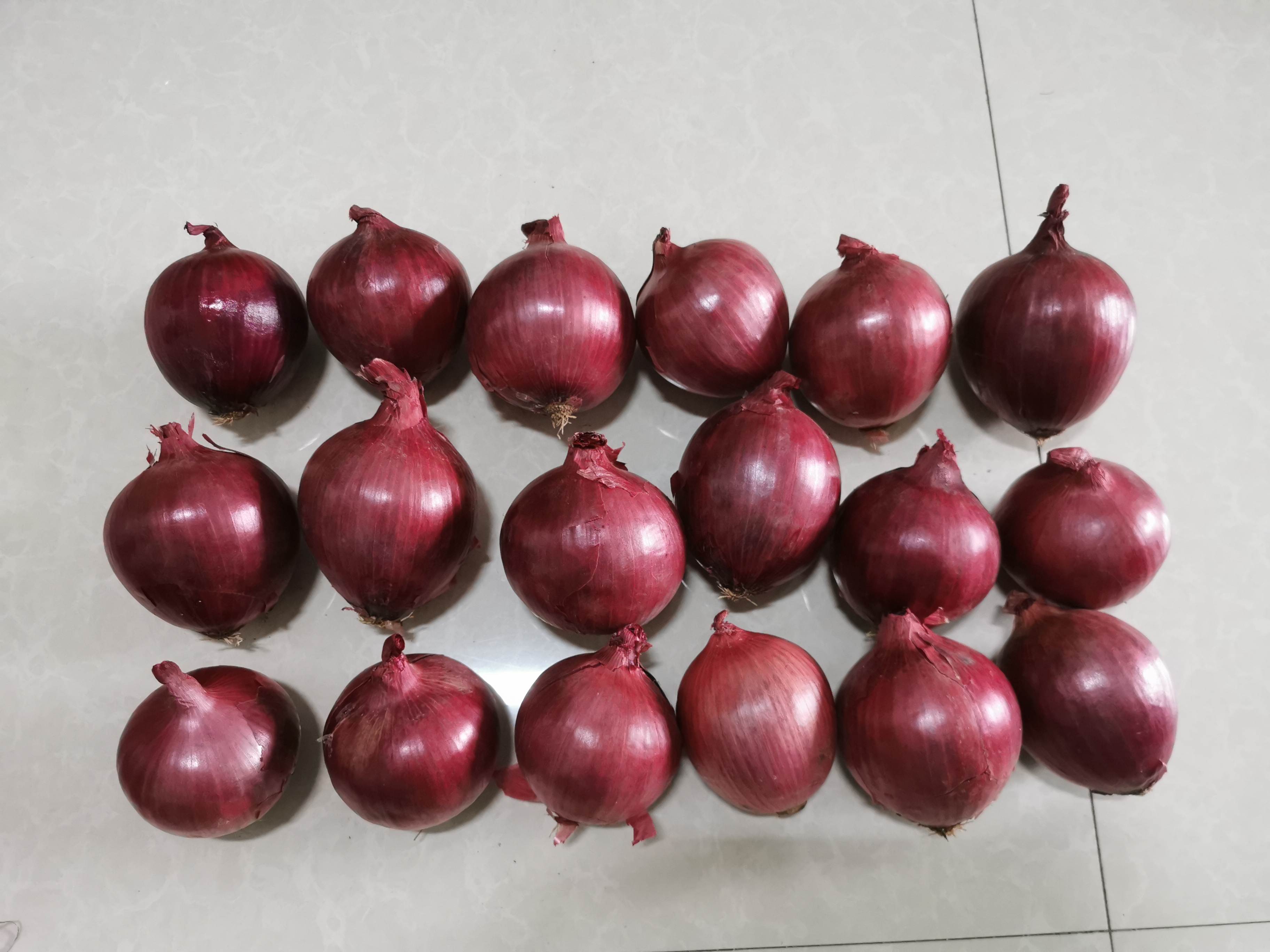 Fresh Red Onion