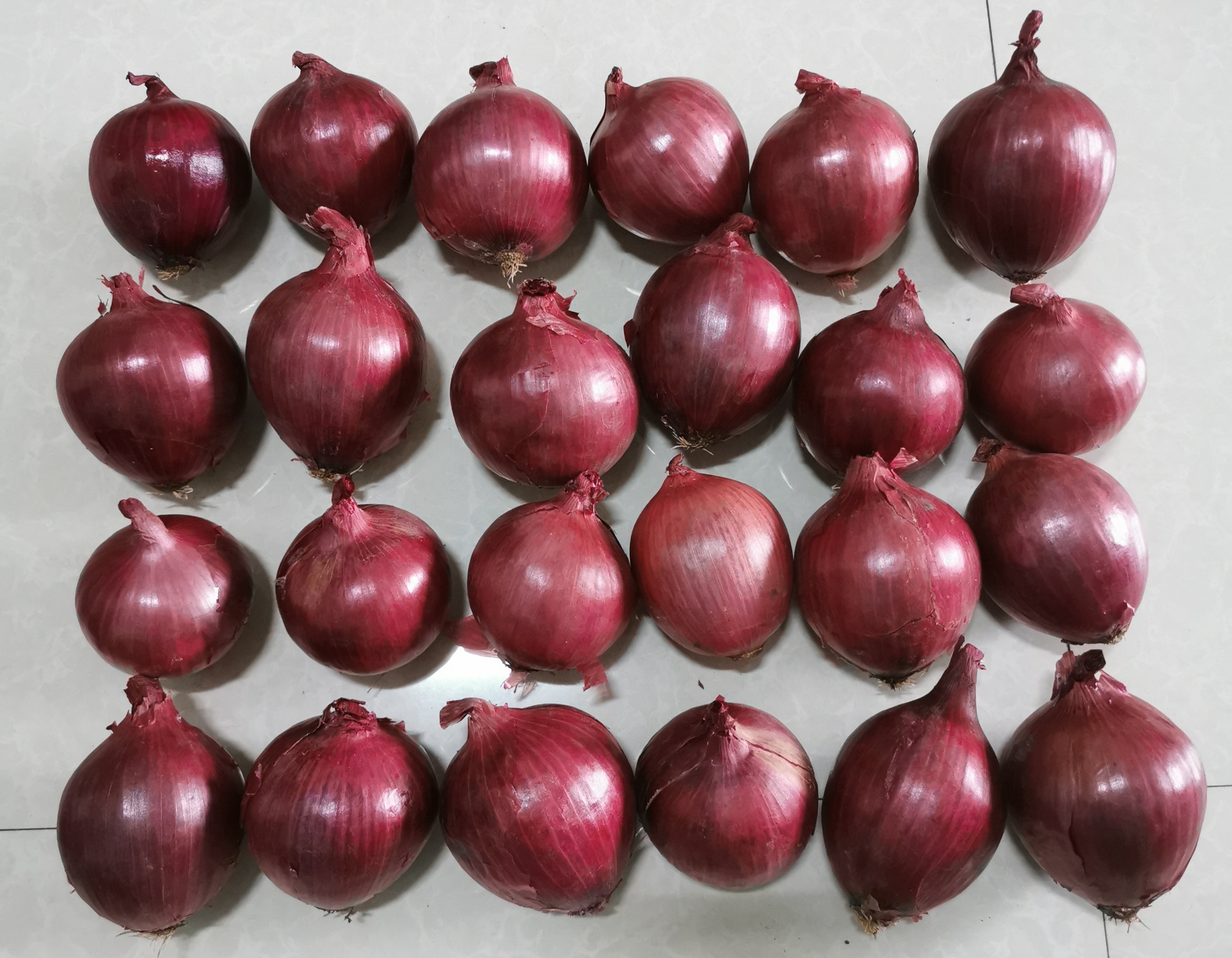 Fresh Red Onion