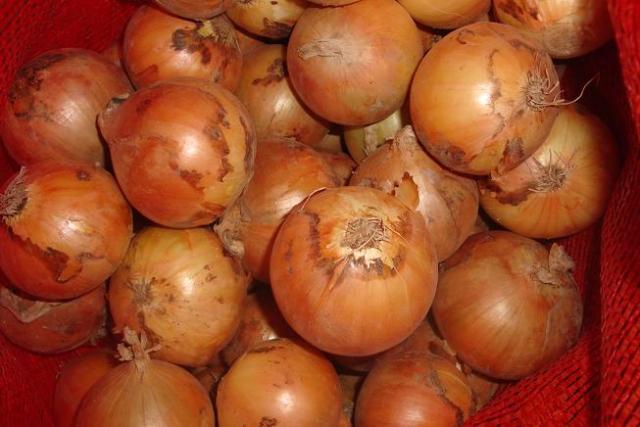 Oignon jaune frais