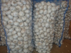 Ajo blanco puro fresco