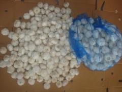 Ajo blanco puro fresco