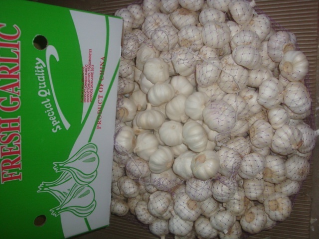 Ajo blanco puro fresco