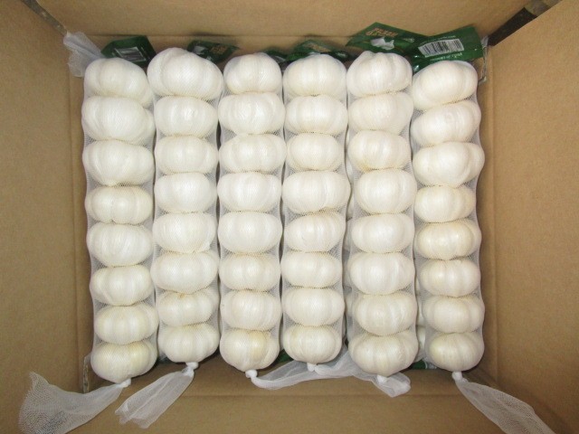 Fresh Pure White Garlic