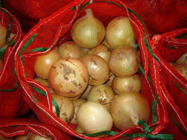 Fresh Yellow Onion