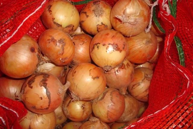 Cebolla amarilla fresca