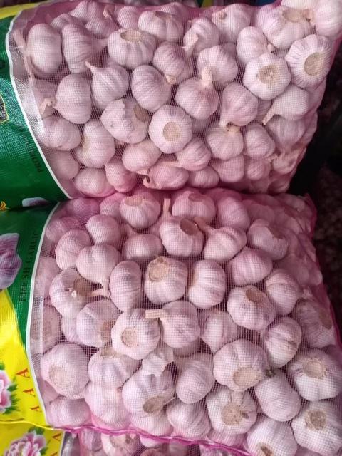 2026 New Crop Garlic