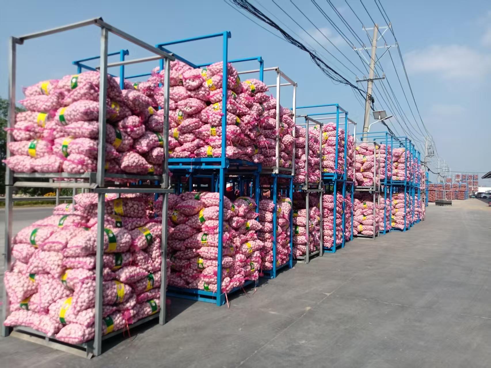 2026 New Crop Garlic