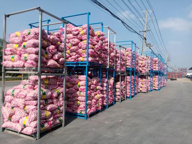 2026 New Crop Garlic