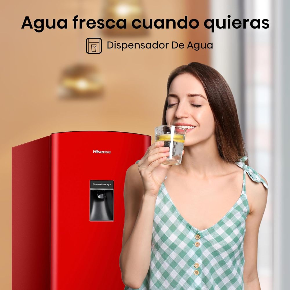 Rebajas por tiempo limitado -RR63D6WBX  6.3 Pies con Dispensador de Agua Negro