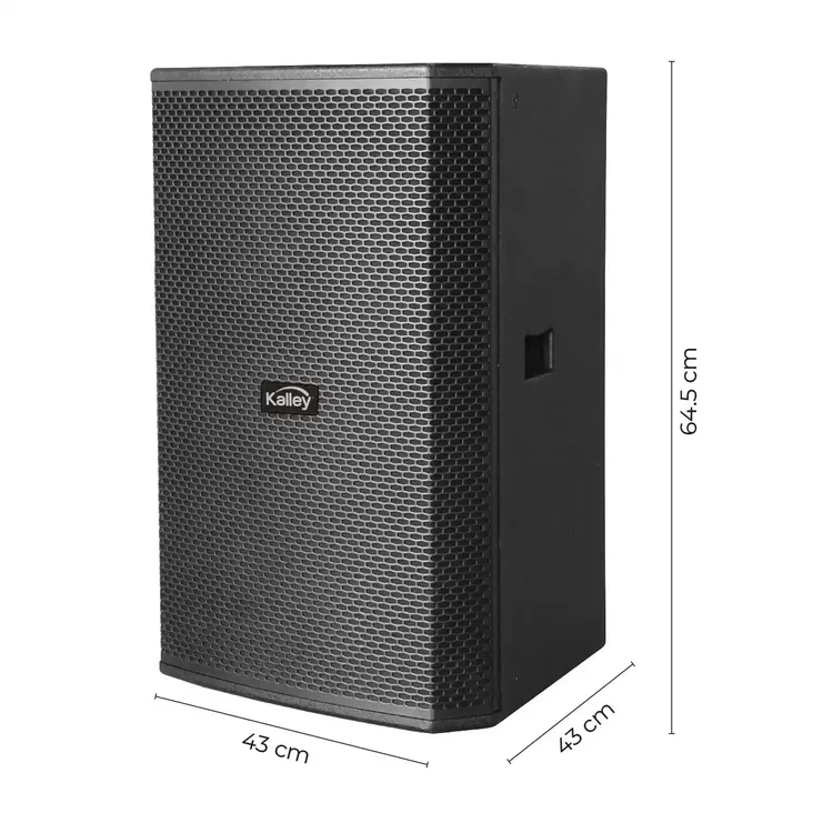 Oferta flash - compra rápida y ahorra-Parlante KALLEY K-PRO300 Negro