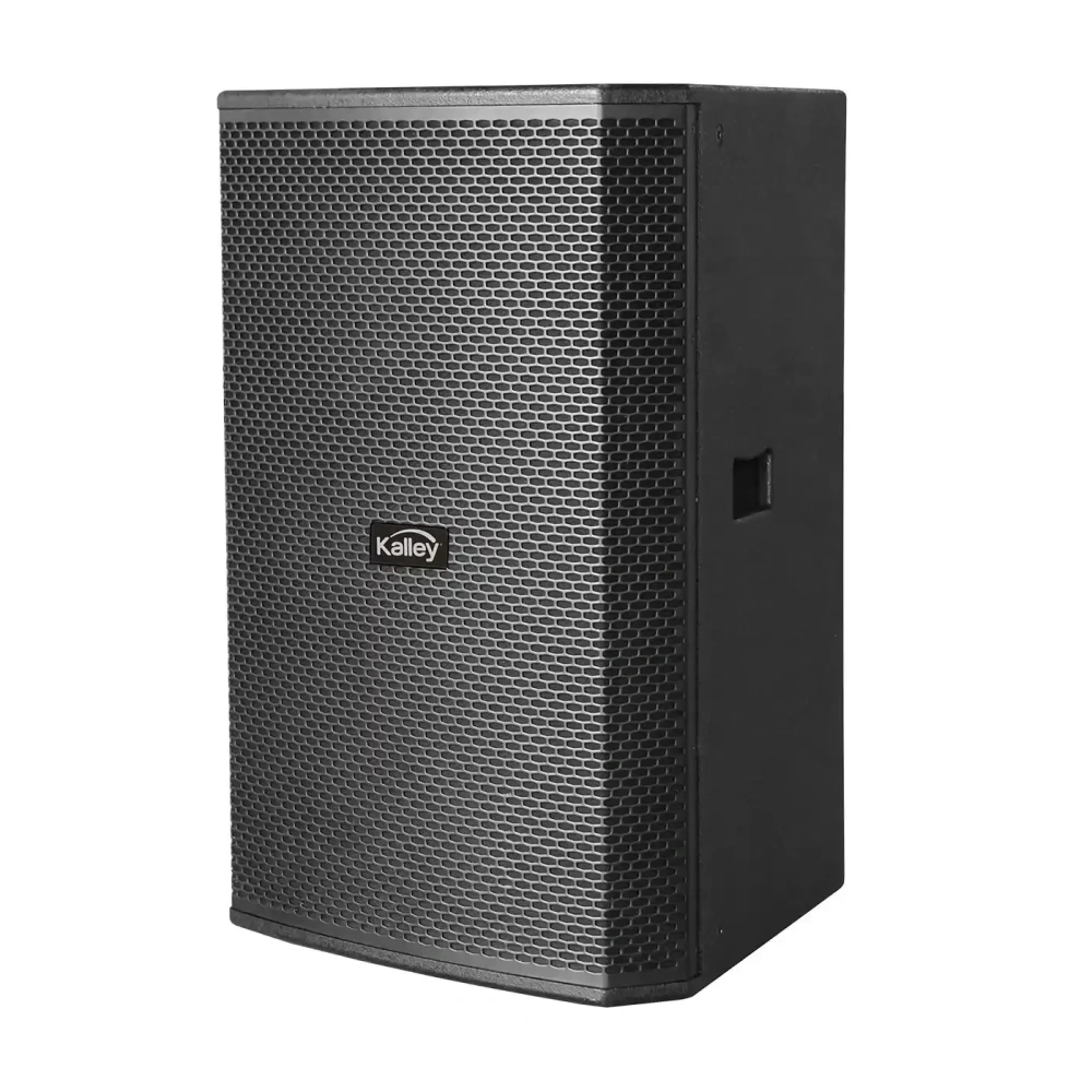 Oferta flash - compra rápida y ahorra-Parlante KALLEY K-PRO300 Negro