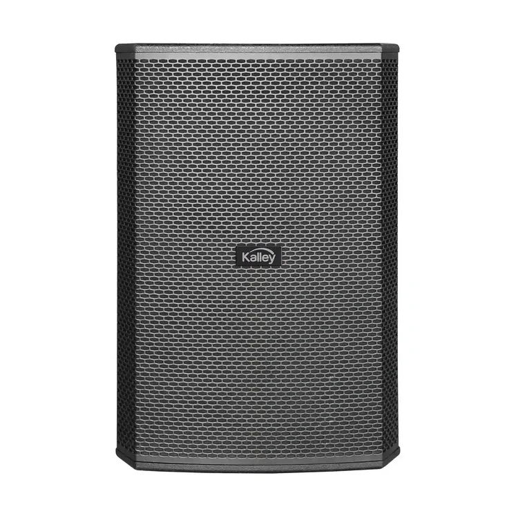 Oferta flash - compra rápida y ahorra-Parlante KALLEY K-PRO300 Negro