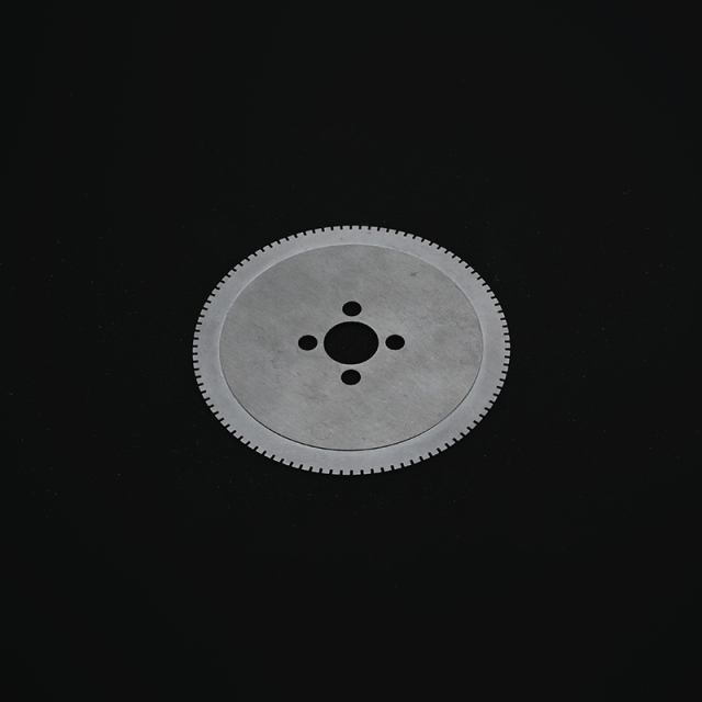 Black Zirconia Ceramic Fendu Disk,Black Zirconia Ceramic Fendu Disk, Zirconia Ceramic Slotted Disk, Precision Zirconia Disk