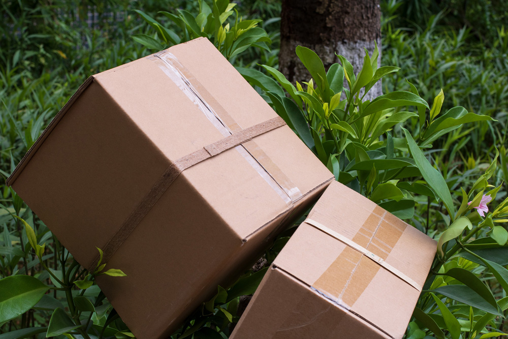 Tali Strapping Mesra Alam: Antara Gentian Kertas & Tumbuhan, Mana Satu Pilihan Terbaik Untuk Bisnes Anda?