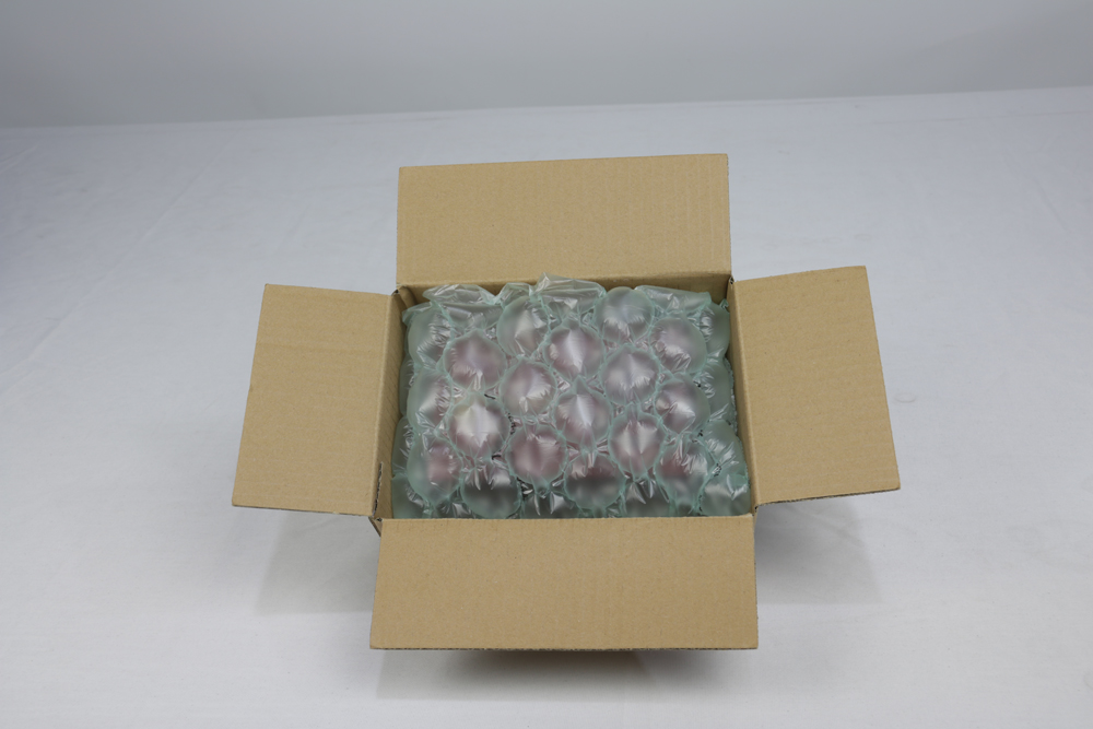 Mesin Bubble Wrap Senang Guna Untuk Seller Baru di Malaysia