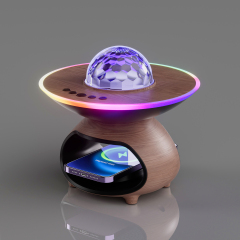 Couples' Camping Light / Music-Sync Night Light