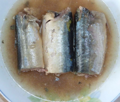Canned Mackerel in Oil