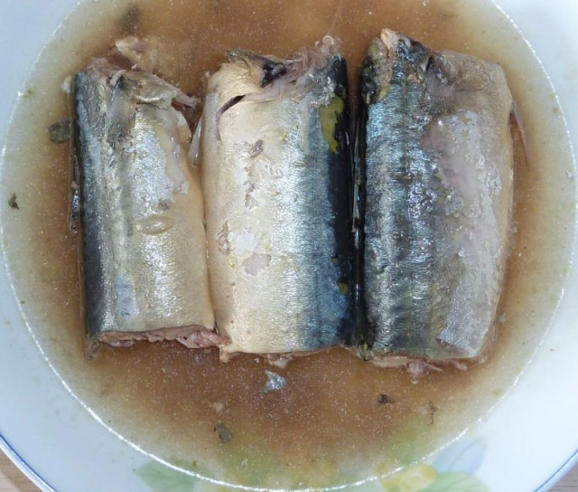 Canned Mackerel in Oil