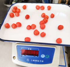Canned red cherry