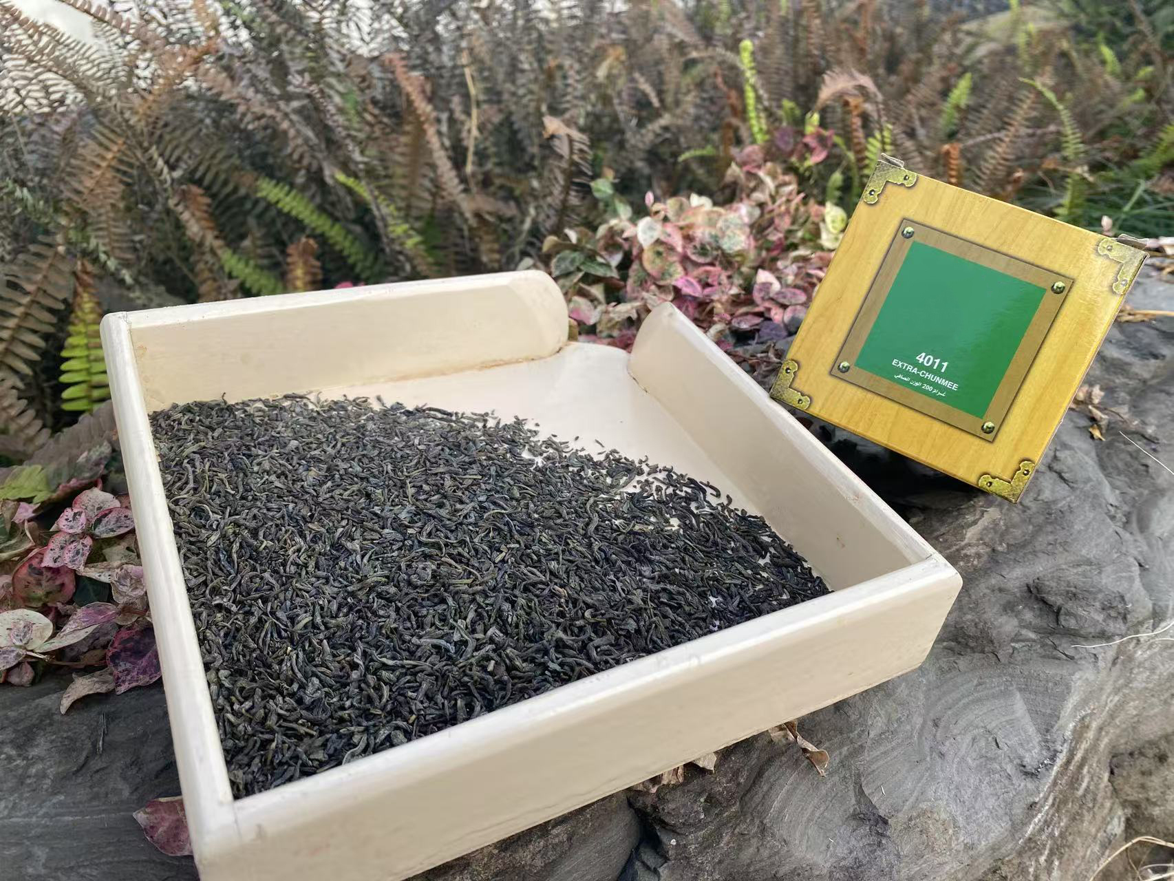 Chinese Green Tea Chunmee 9371 9367 4011