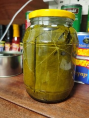 Vine leaves Grape leaves in glass jar/in drum/in Barrel