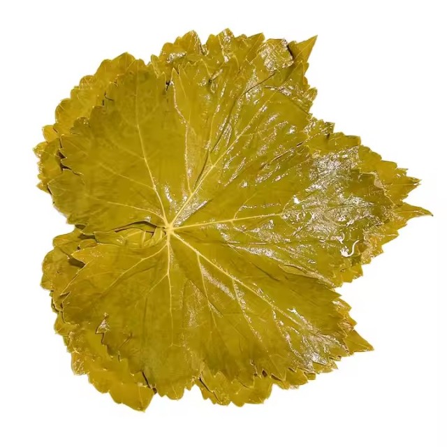 Vine leaves Grape leaves in glass jar/in drum/in Barrel