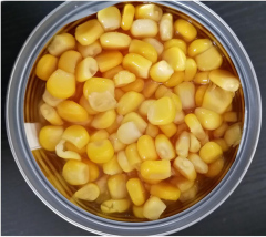 Canned Sweet Corn Kernel