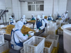 SO2 cherry in barrels