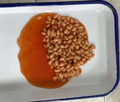 Canned Baked Beans in Tomato sauce