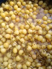 SO2 cherry in barrels