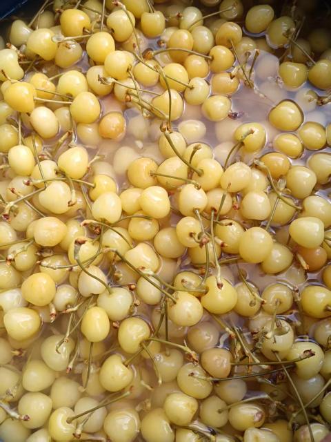 SO2 cherry in barrels