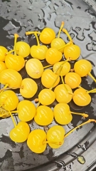 SO2 cherry in barrels