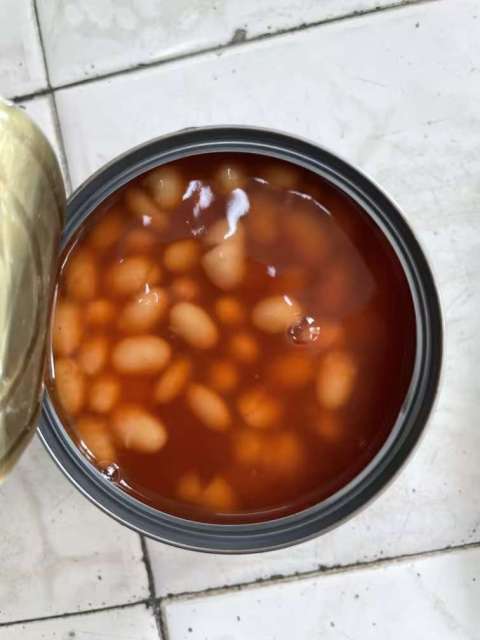 Canned Baked Beans in Tomato sauce