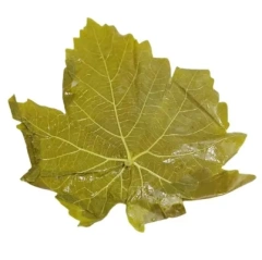 Vine leaves Grape leaves in glass jar/in drum/in Barrel