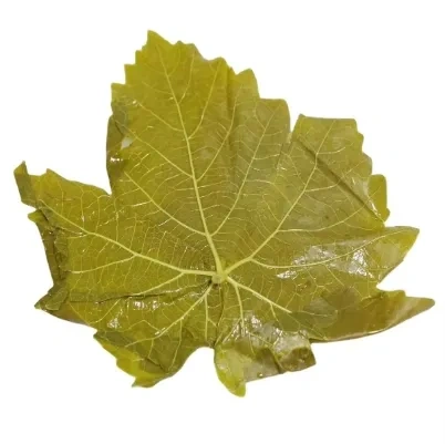 Vine leaves Grape leaves in glass jar/in drum/in Barrel