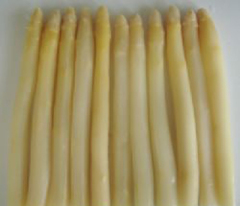Canned white Asparagus